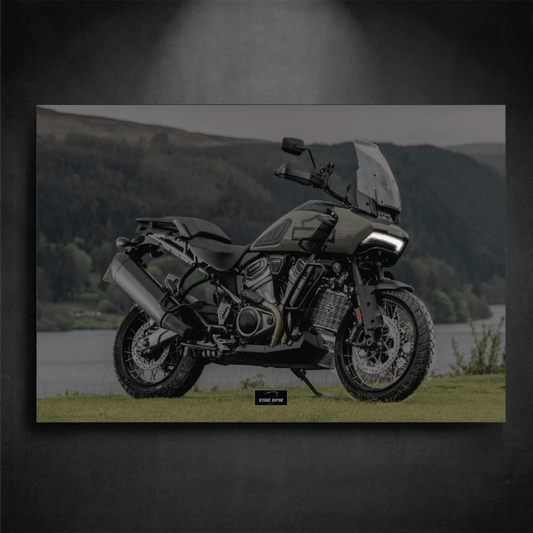 Tableau NEON Harley-Davidson Pan America 1250