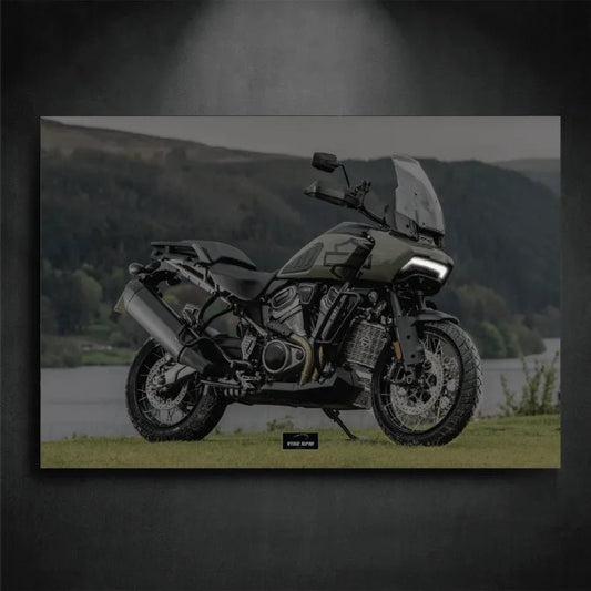 Tableau NEON Harley-Davidson Pan America 1250