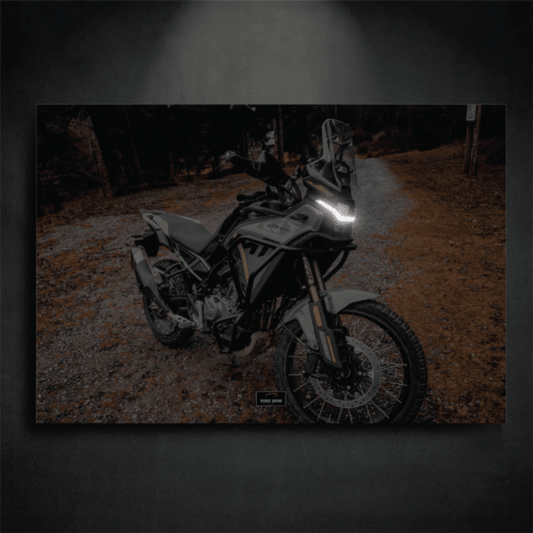 Tableau NEON CFMOTO 450MT