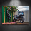 Tableau NÉON Benelli TRK 502X