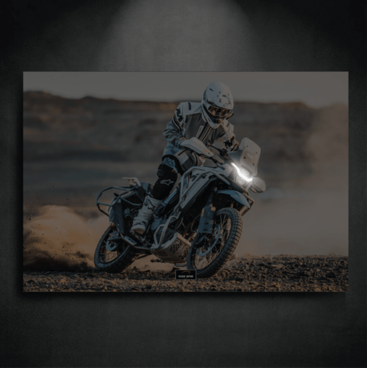 Tableau NÉON CFMOTO 450MT