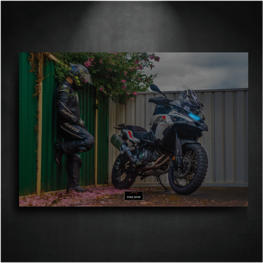 BMW S 1000 R NEON board